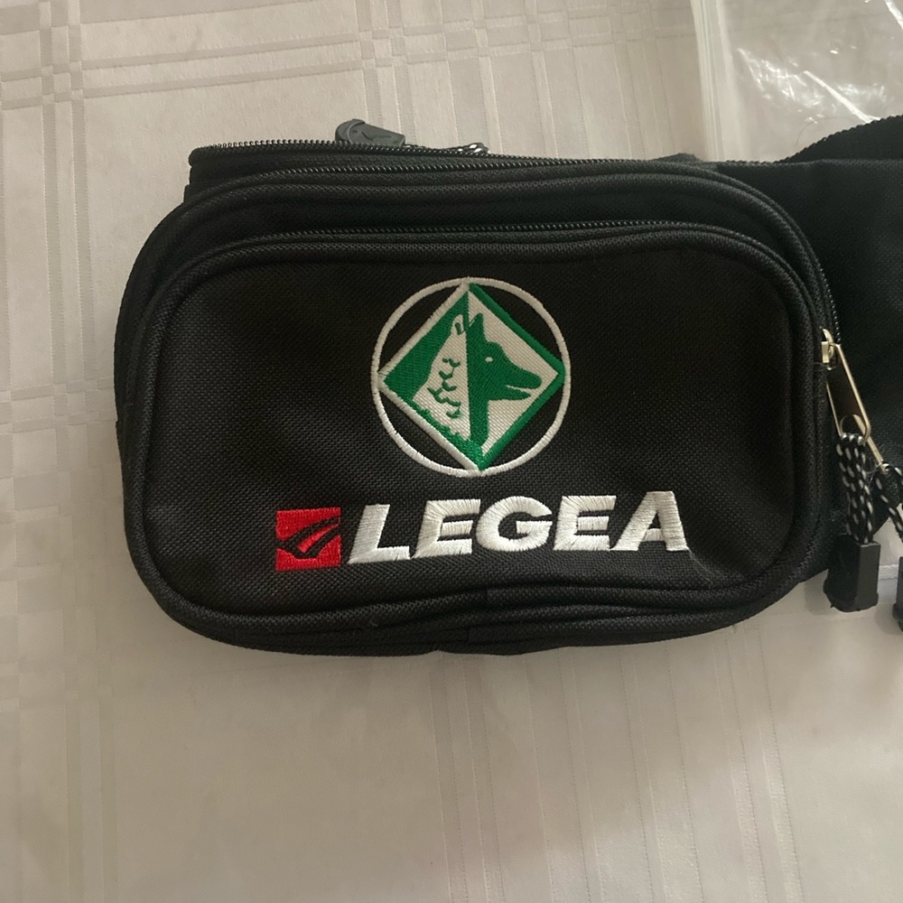 Fanny pack